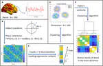 Distinct brain state dynamics of native and second language processing during narrative listening in late bilinguals.