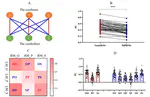 Functional mapping and cooperation between the cerebellum and cerebrum during word reading.