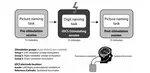 The cerebellum and cognition further evidence for its role in language control.