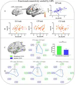 Functional preference of the left inferior parietal lobule to second language reading.